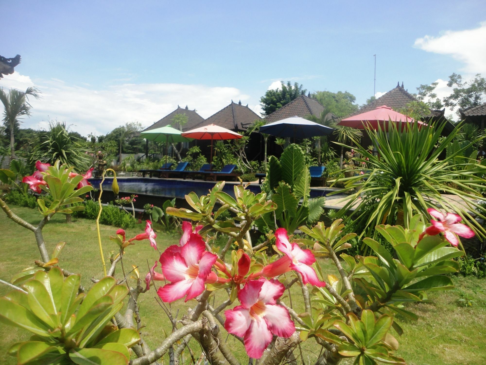 Dream Beach Berlian Nusa Lembongan  Ngoại thất bức ảnh